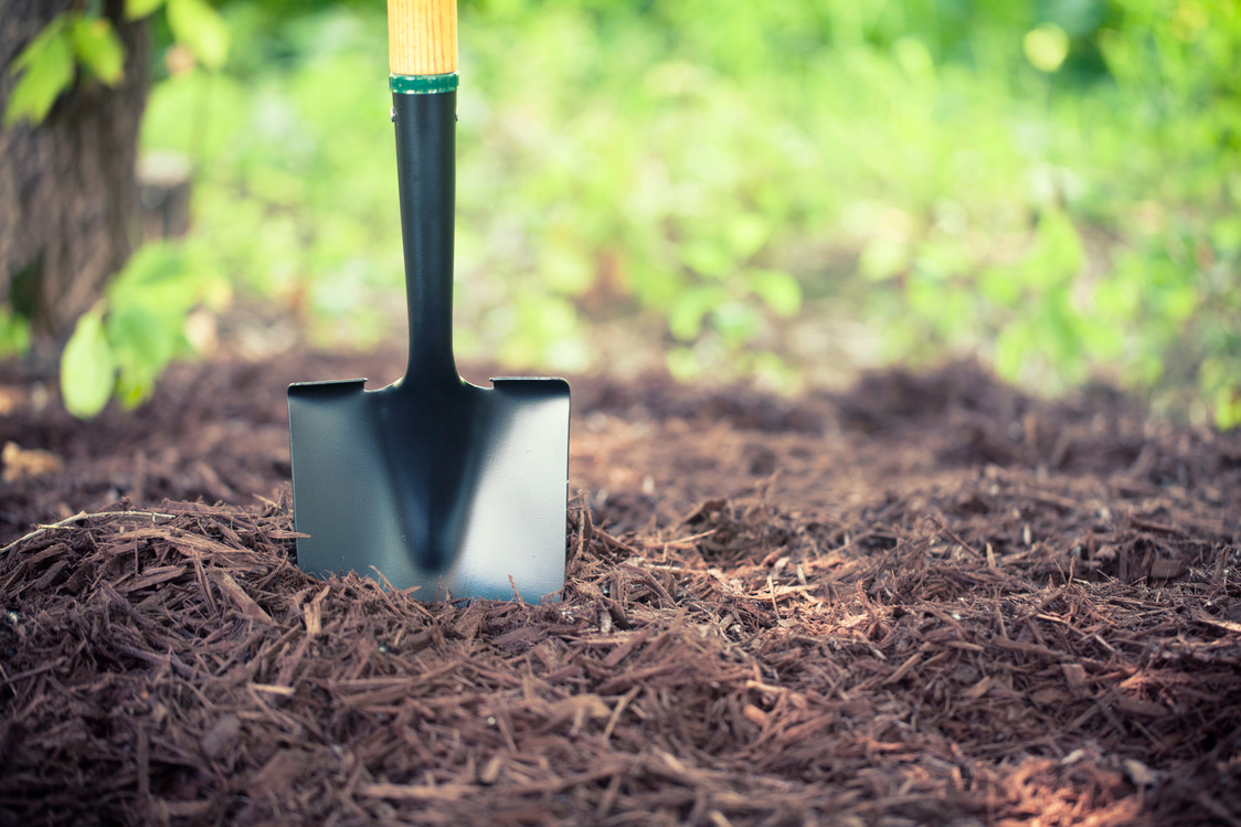 Shovel in the Mulch